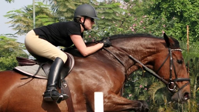 clases de equitacion en hipica la calderona